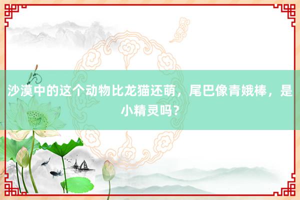 沙漠中的这个动物比龙猫还萌，尾巴像青娥棒，是小精灵吗？