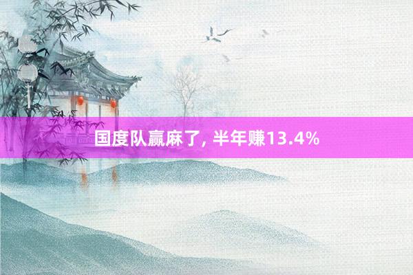 国度队赢麻了, 半年赚13.4%