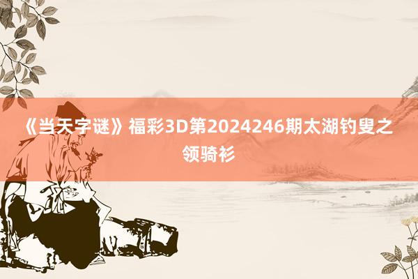 《当天字谜》福彩3D第2024246期太湖钓叟之 领骑衫