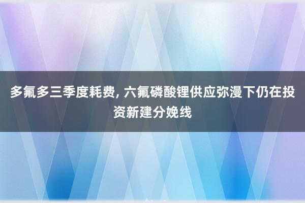 多氟多三季度耗费, 六氟磷酸锂供应弥漫下仍在投资新建分娩线